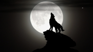 Soulrender's Lounge :: Royalty Free Music - Night Of The Lone Wolf